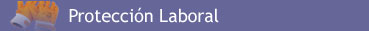 Productos - Protección Laboral